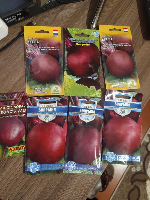 Продам семена  свеклы