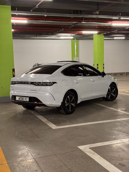 Chazor full 4 pizitsa