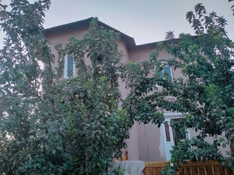 Уй Сатилади 2500кв 25сот .Шоват 19да Достлик Иштимоят Кадирят 113 уй