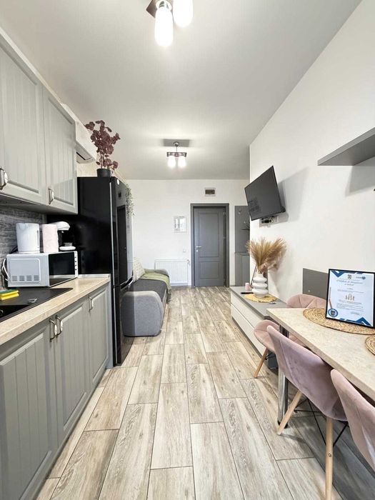 IS Cazare Regim Hotelier Centru Palas Newton Aeroport Apart 1-2-3 Cam