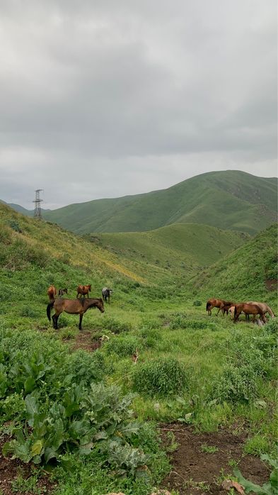 Продам участок в горах 20гек