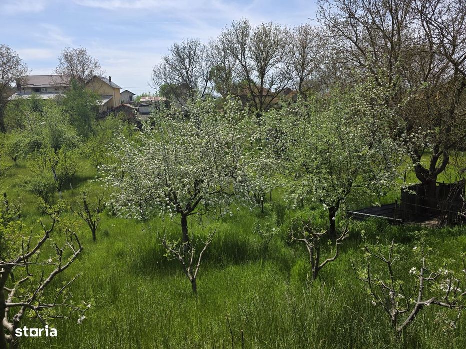 Casa Stalpeni Arges, 3 camere