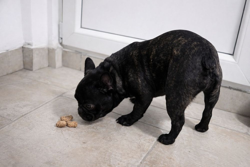 Cadoul perfect Valentine's Day