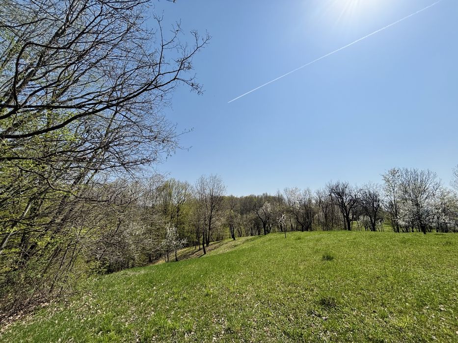 Teren 3.800 mp | Pucioasa, Dâmbovița | Natură, liniște și acces dublu