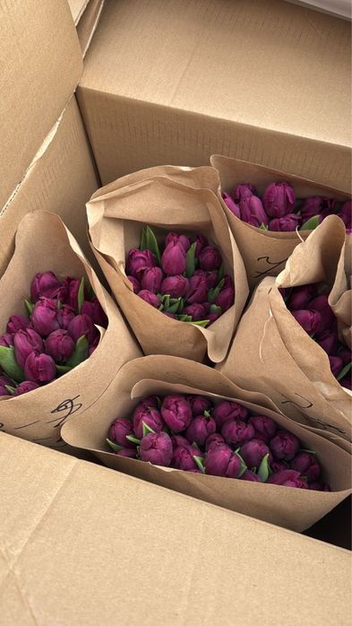 Голандские тюльпаны более 10 видов