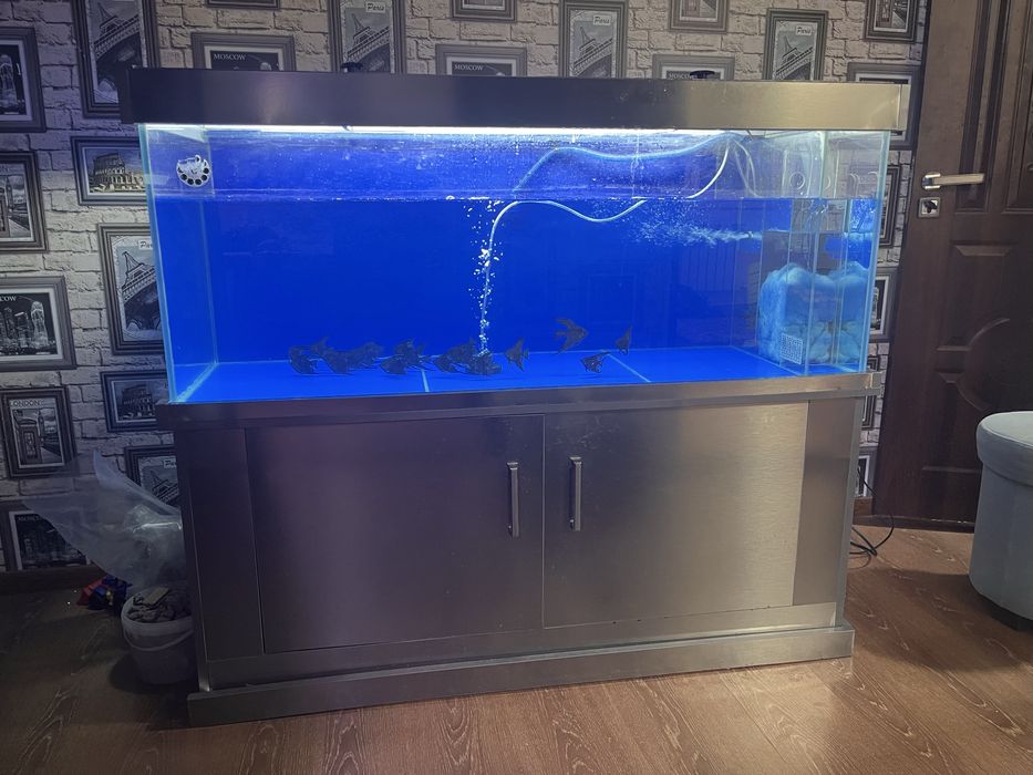 Akvaryum satiladi 3 mln ga berip jiberemen