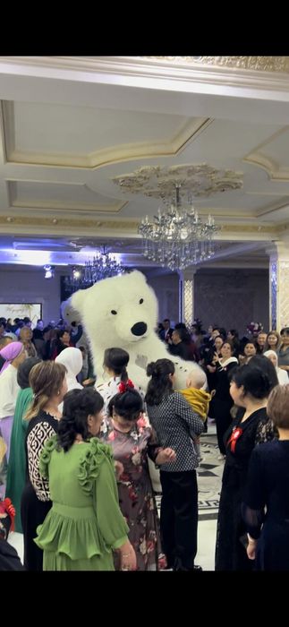 Мишка в бизнес той,туылған күн