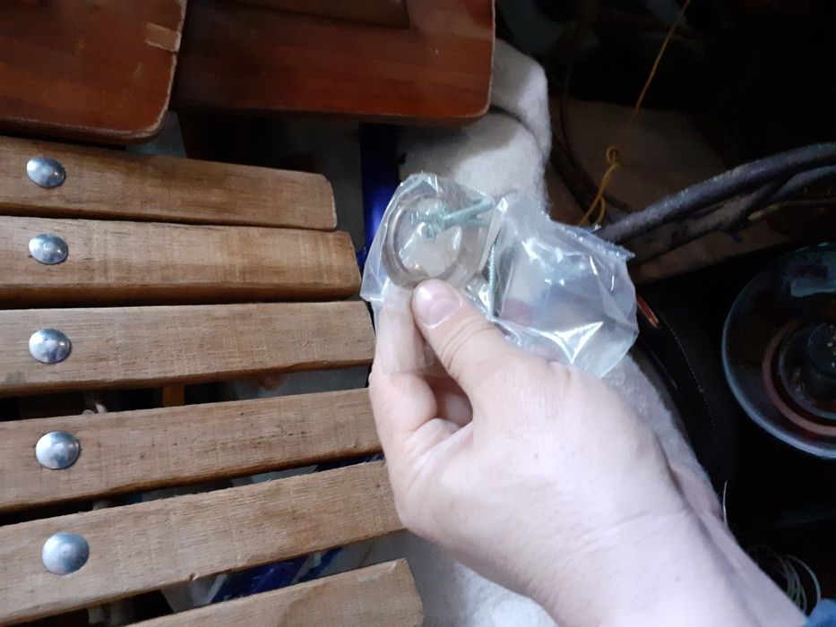 Broasca usa de intrare