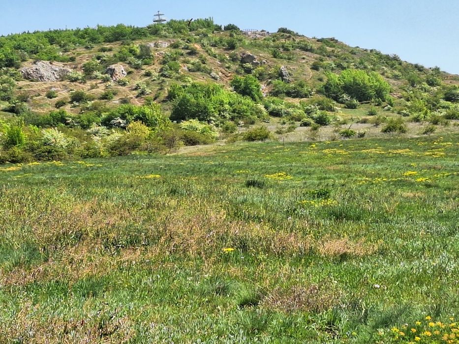 Teren de vânzare în Betfia