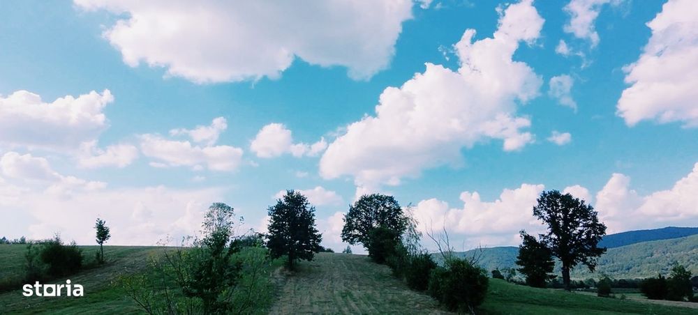 Șinca Nouă – 8.439 mp pentru agricultură, apicultură și investiție