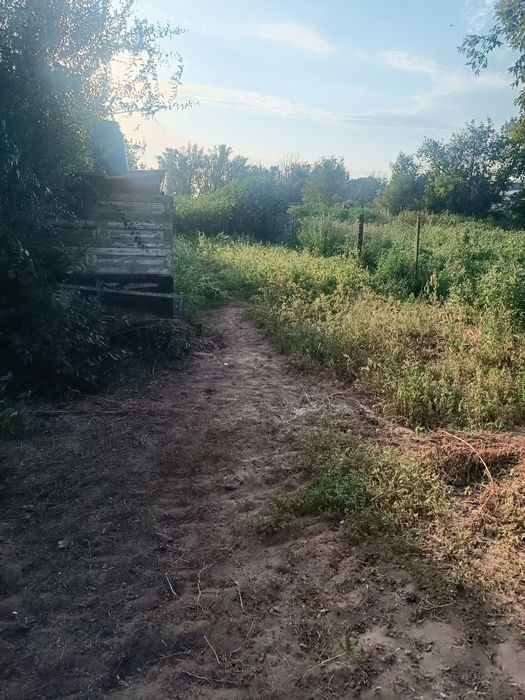 Продам дом в поселке Орлеу (Россовхоз)