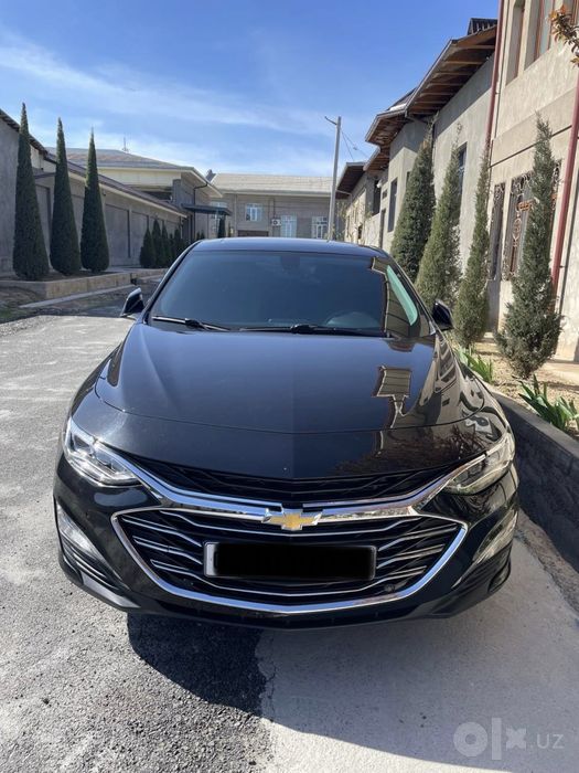 Malibu premier 2022