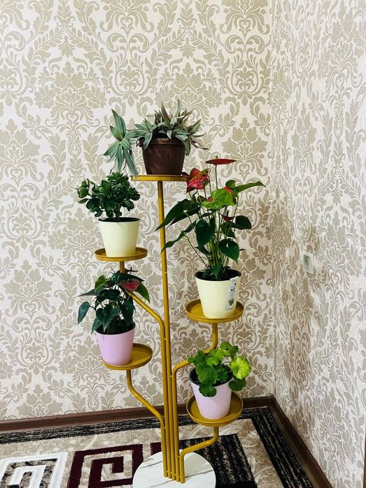 Gullar uchun padstavka