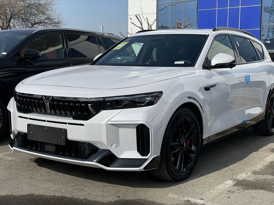 Voyah free apollo tech 318