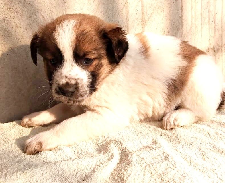 Не проходите мимо подарите дом бездомным