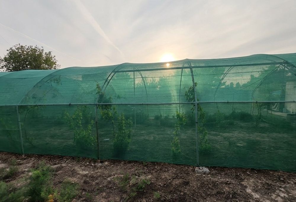 Продам участок 12 сотых  ориентир Черняевка