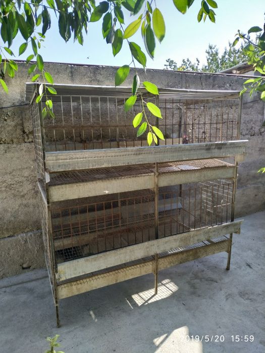 Паррандалар учун кафас...