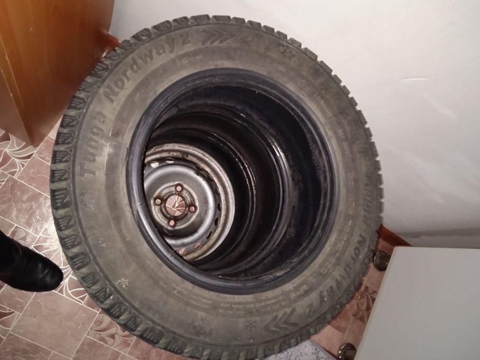 Шины зимные шины