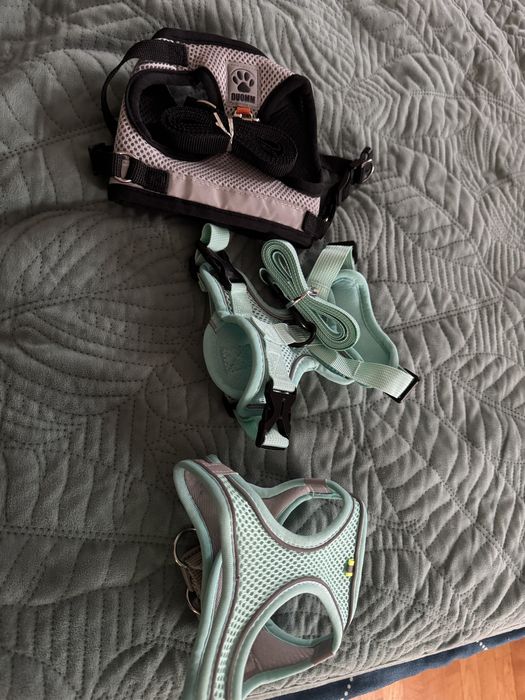 Чисто нови нагръдници за котки или малки кученца