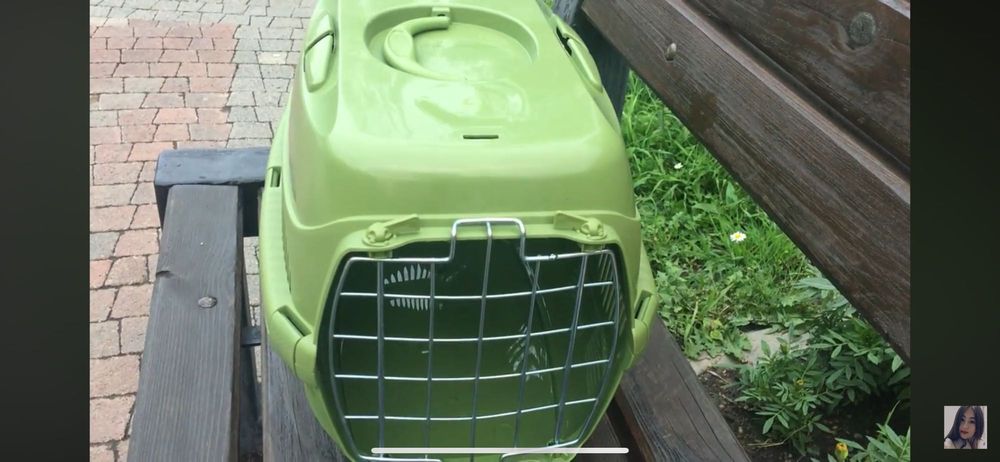 Britanskiy parodyali aqiliy mushuk