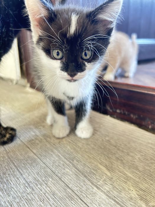 Эксклюзивное предложение