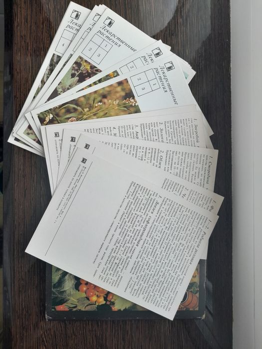 Набор открыток..