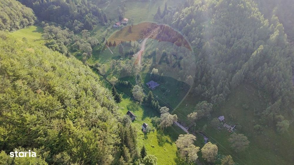 Teren 38,704mp Sirnea | 2.000 mp Intravilan | 36,704 Extravilan