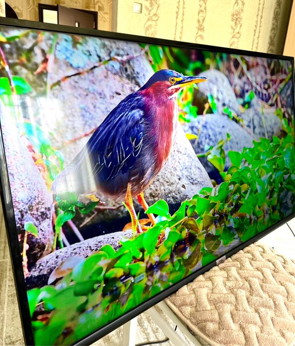 Телевизор TCL Android smart tv Wi-Fi  127см