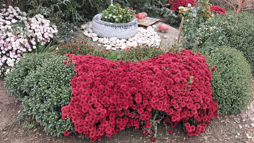 Продава се Парцел в Видин, Акджамия - 1200 кв.м за 9 €/кв.м - Снимка #1