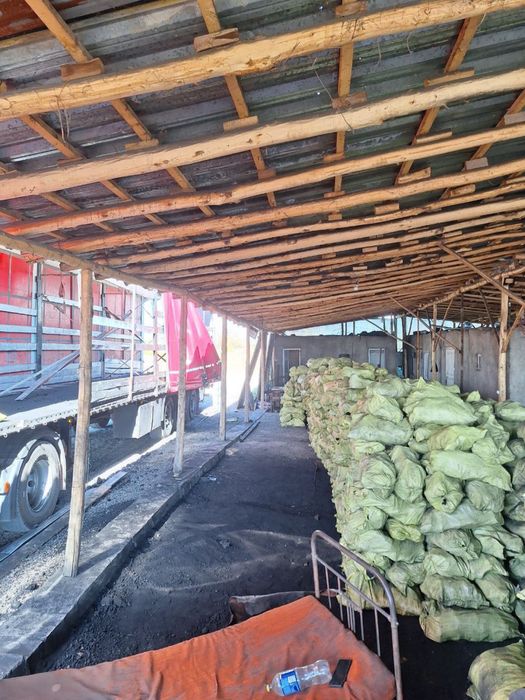 Уголь киргиз сулукта оптим сотамиз