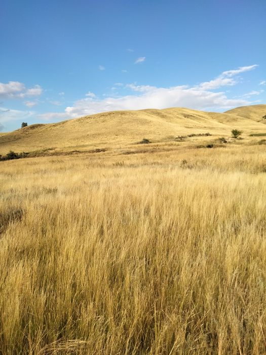 Участок, в очень хорошем месте..