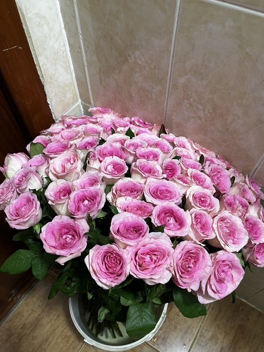 71 роза кеше ғана алдым туылған күніме