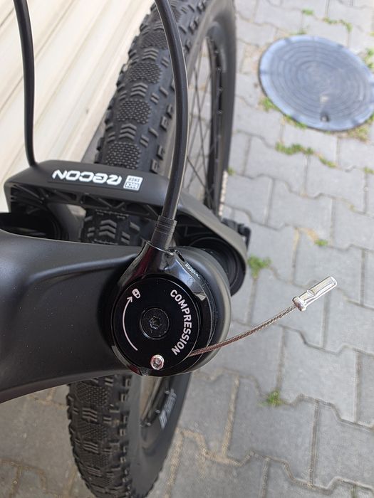 Canyon Exceed 29" Карбон