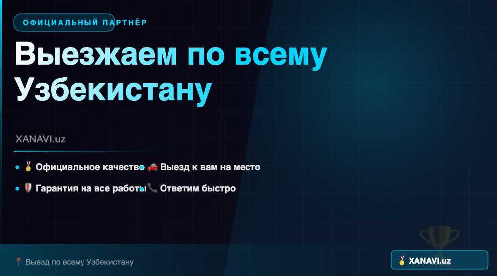BYD на русском языке — русификация, ИИ, голос. Выезд к вам!