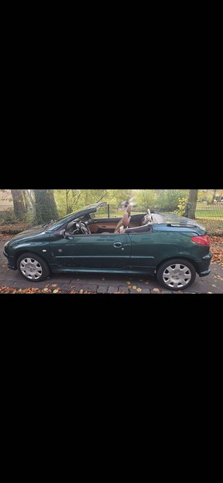 Peugeot 206 CC Roland Garros