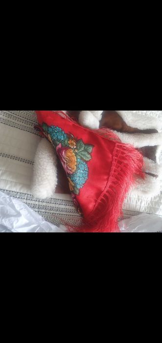 costum popular fete 7-10 ani