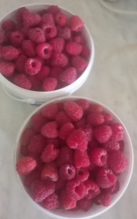 Продам ягоду клубнику,малину и их саженцы