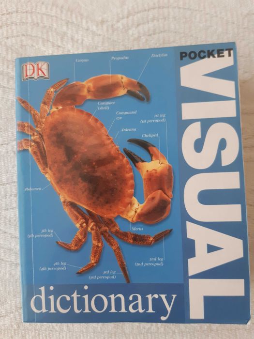 Pocket Visual Dictionary