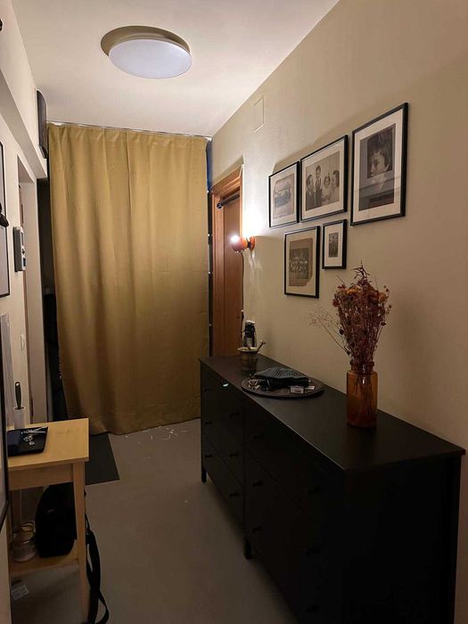 Studio Greenfield de la proprietar