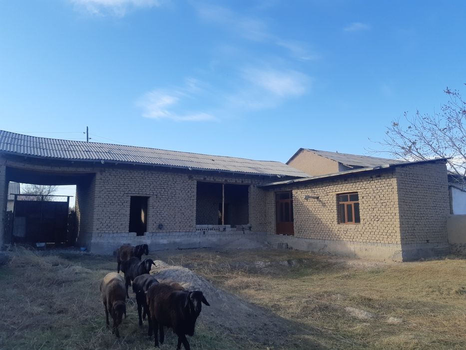 Smarqand vil.Poyariq tumani Mustaqilik mahalla hovli joy sotiladi