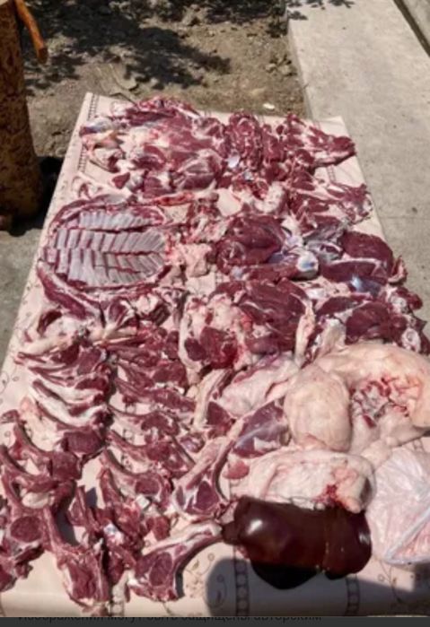 Qassop xizzmati toshken saxar boylab 150