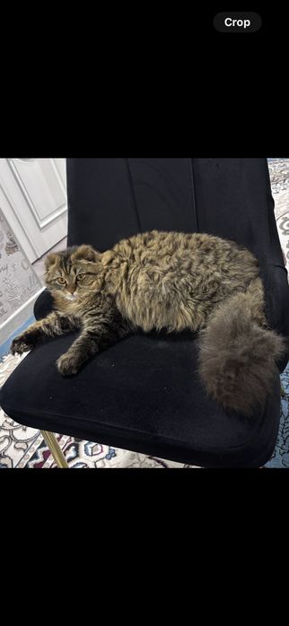 Nastya Bakeeva bilan porno video