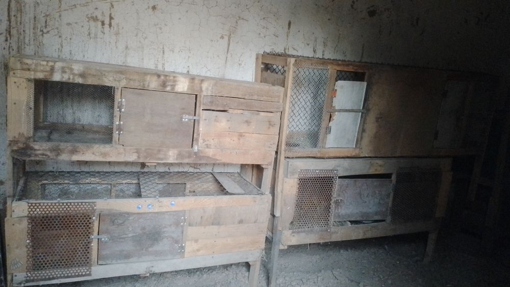 Клеткалар сатылады