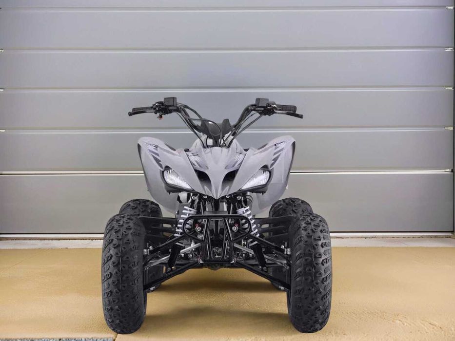 Квадроцикл Sharmax Raizer Race Cup 250