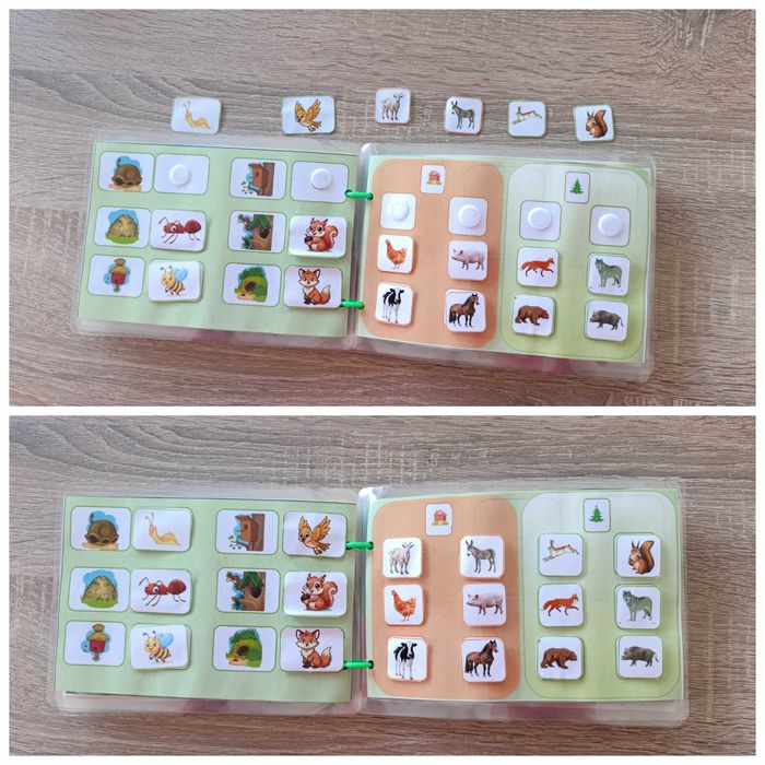 Книжка-игра "В царството на животните"