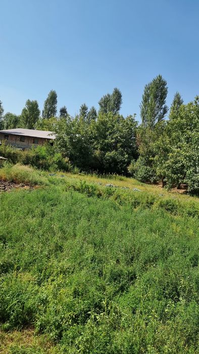 Прадётся участка