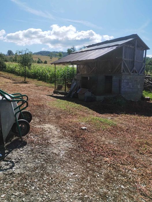 Casa sat Drinova 15km de lugoj.