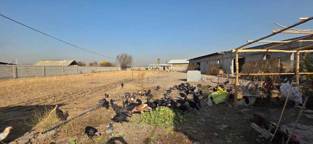 Продажа Нежилое 39 соток