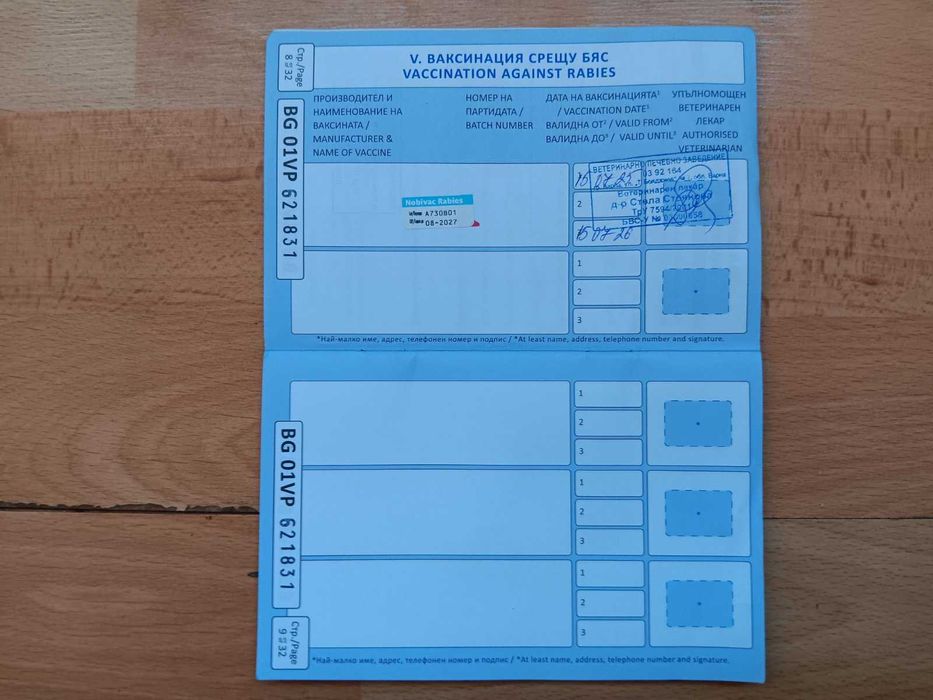 подарявам куче на име рекси