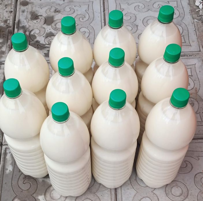 Кумыс чистый натуральный